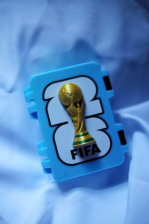 Caja porta figuritas del mundial